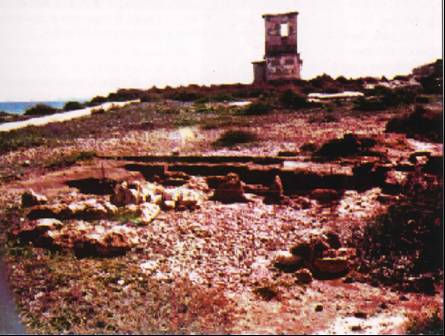 Necropoli-panorama scavi